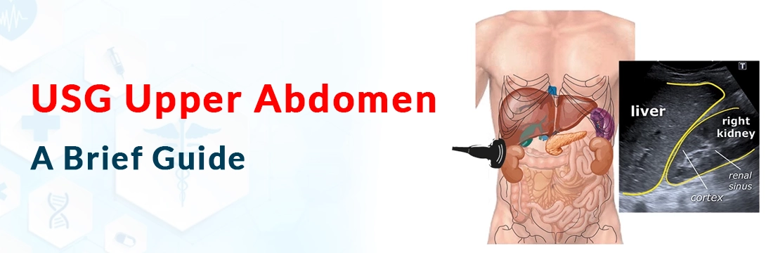 USG Upper Abdomen: A Brief Guide